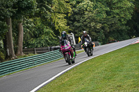 cadwell-no-limits-trackday;cadwell-park;cadwell-park-photographs;cadwell-trackday-photographs;enduro-digital-images;event-digital-images;eventdigitalimages;no-limits-trackdays;peter-wileman-photography;racing-digital-images;trackday-digital-images;trackday-photos